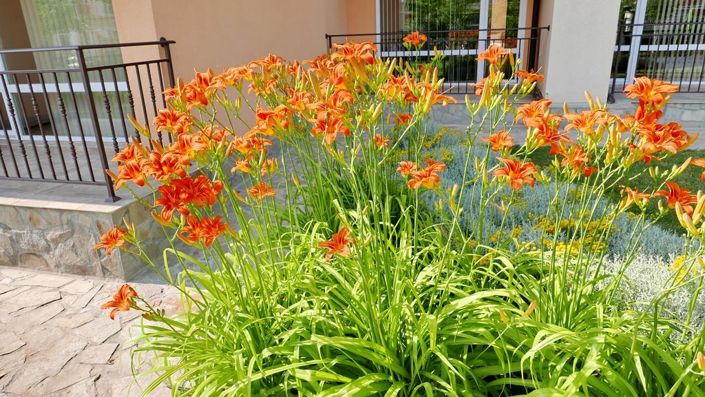 Oxygen Apartments Sweti Wlas Exterior foto